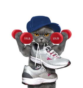 Find out if you qualify for free Medicare Silver Sneakers Gym Memberships