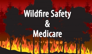 wildfire safety