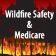 wildfire safety